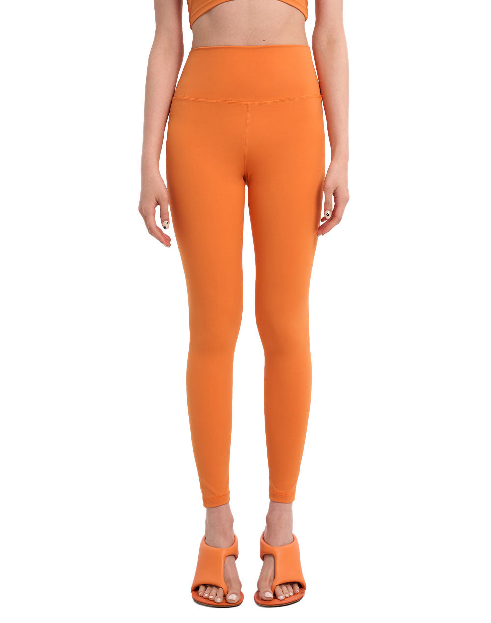 High Rise Basic Legging